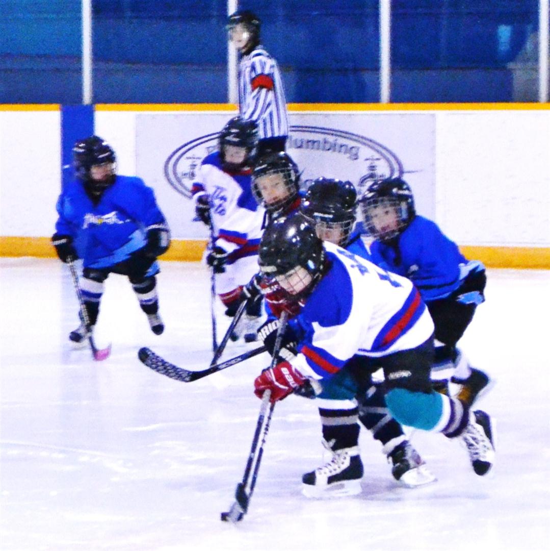 Timbits hockey victoria bc